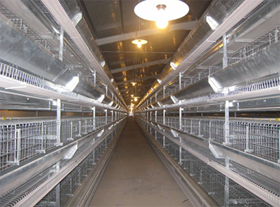 養殖網排焊機 養殖網排焊機